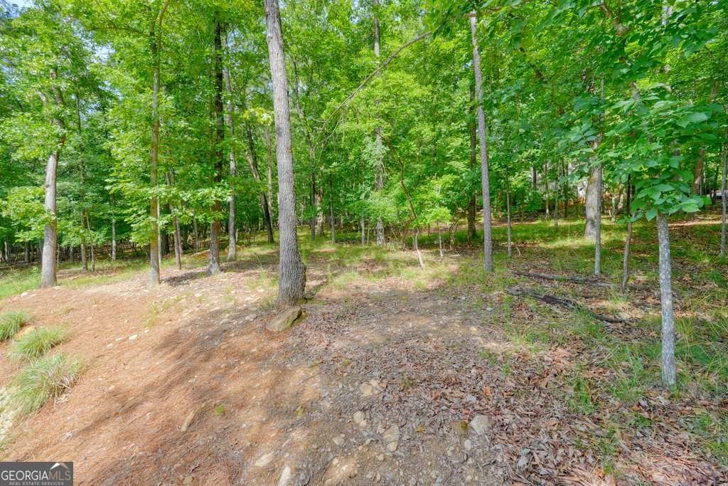 110 Cherry Court Waleska - Photo 45