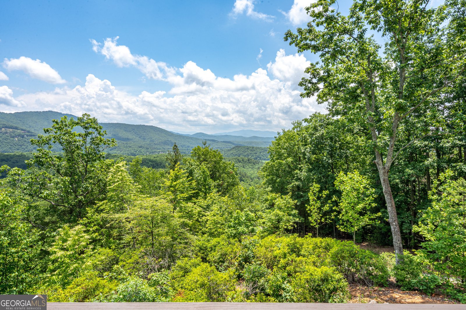 300 Sugarwood Drive Murphy - Photo 25