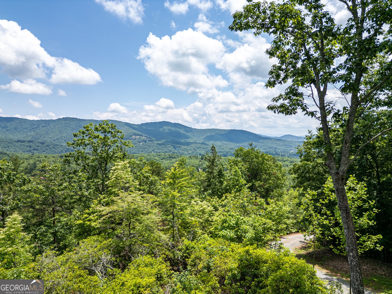 300 Sugarwood Drive Murphy - Photo 55