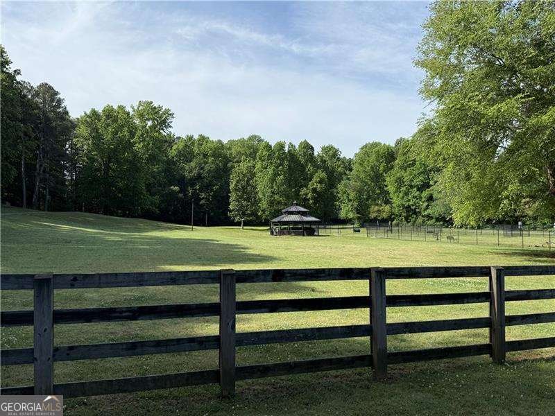 235 Province Park Drive Canton - Photo 33