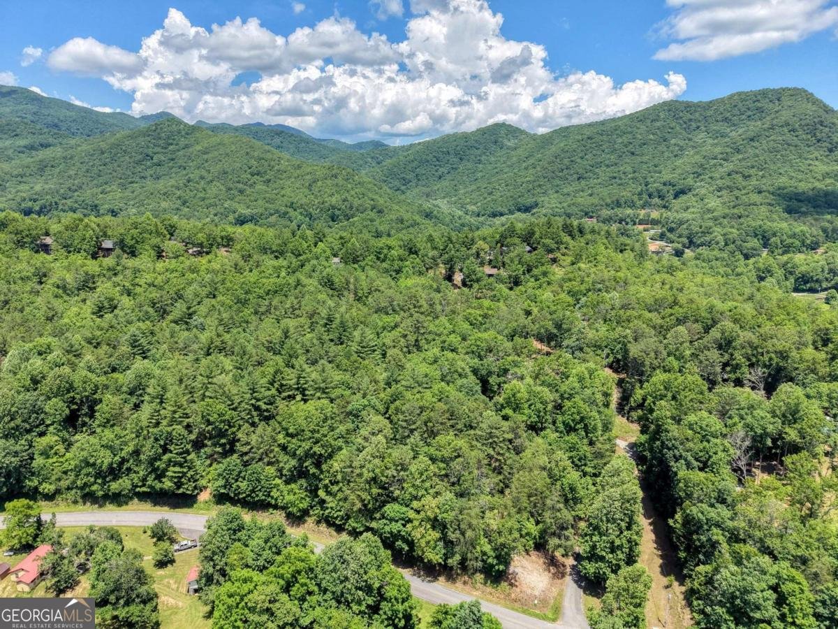 4777 Laurel Mountain Road Hiawassee - Photo 28