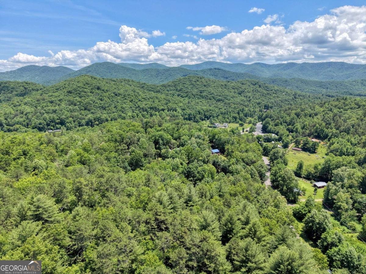 4777 Laurel Mountain Road Hiawassee - Photo 29