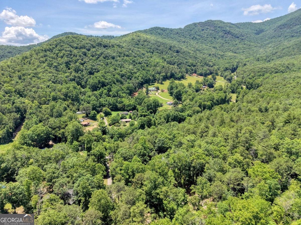4777 Laurel Mountain Road Hiawassee - Photo 30