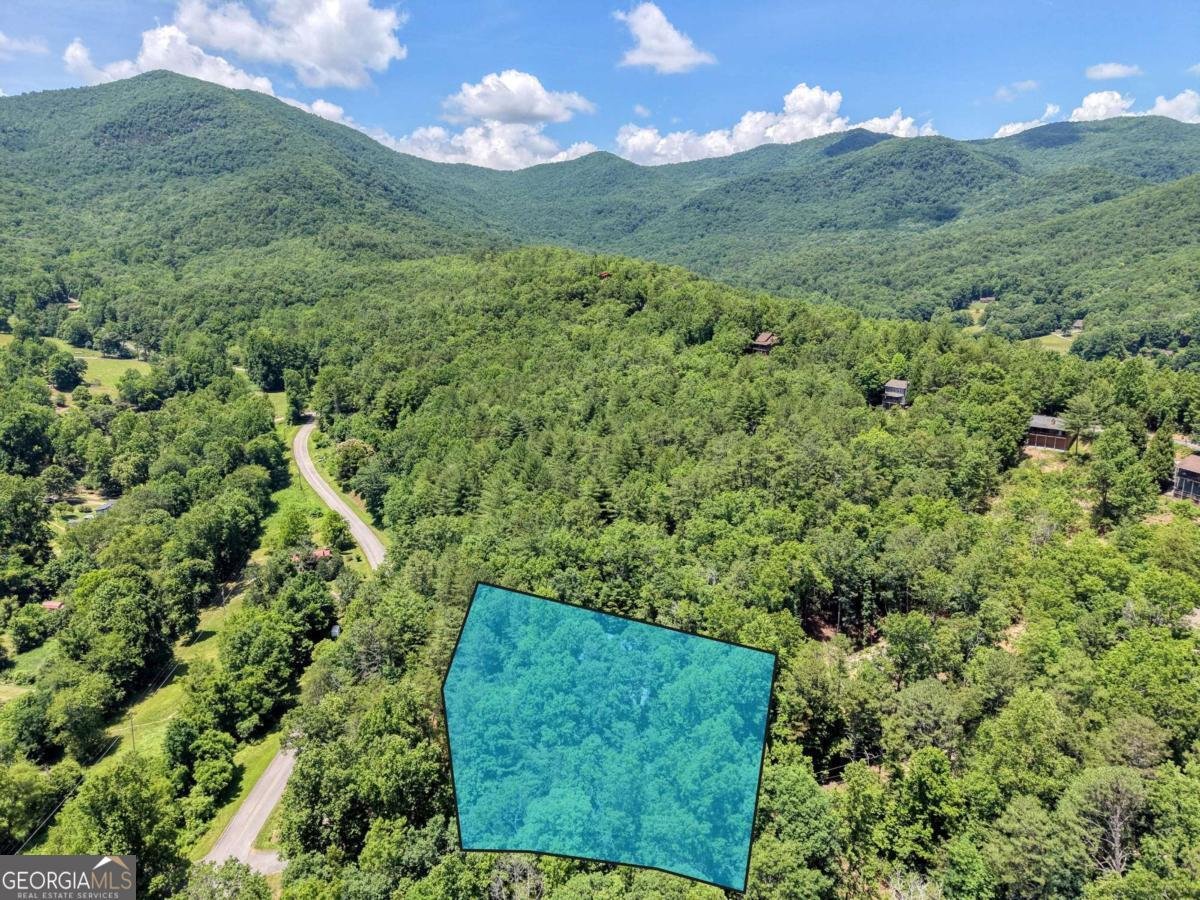 4777 Laurel Mountain Road Hiawassee - Photo 31