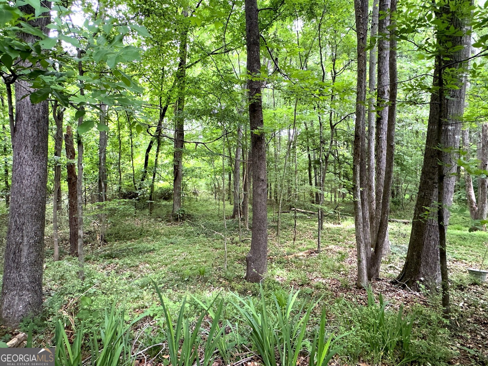 4065 Jamaica Court Jonesboro - Photo 46