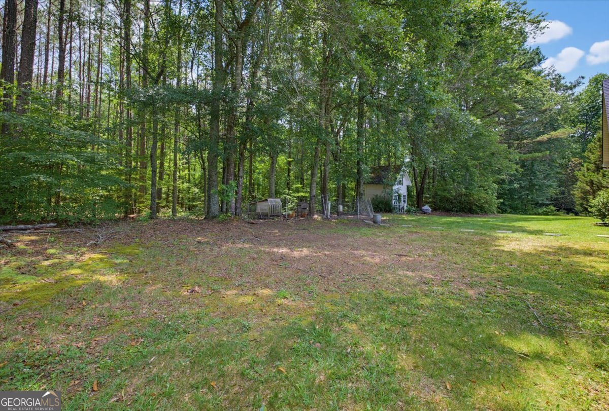 42 Woods Way Carrollton - Photo 53