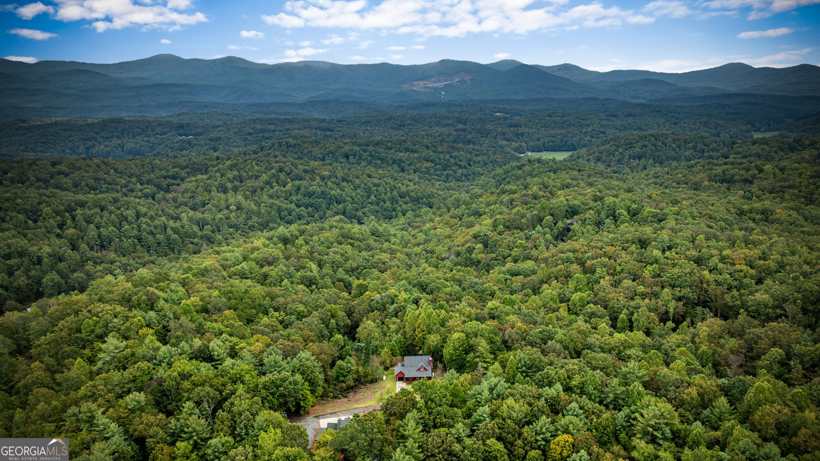 132 New Berry Street Ellijay - Photo 13
