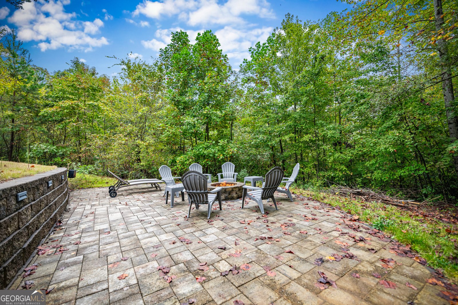 132 New Berry Street Ellijay - Photo 56