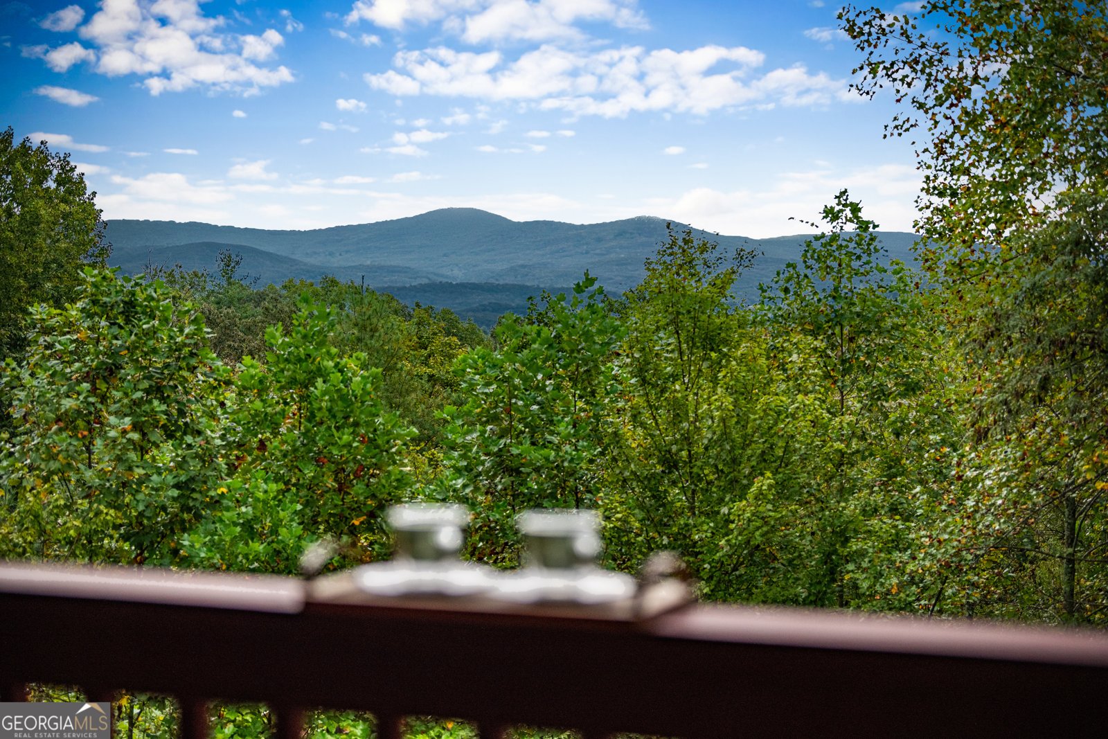 132 New Berry Street Ellijay - Photo 78