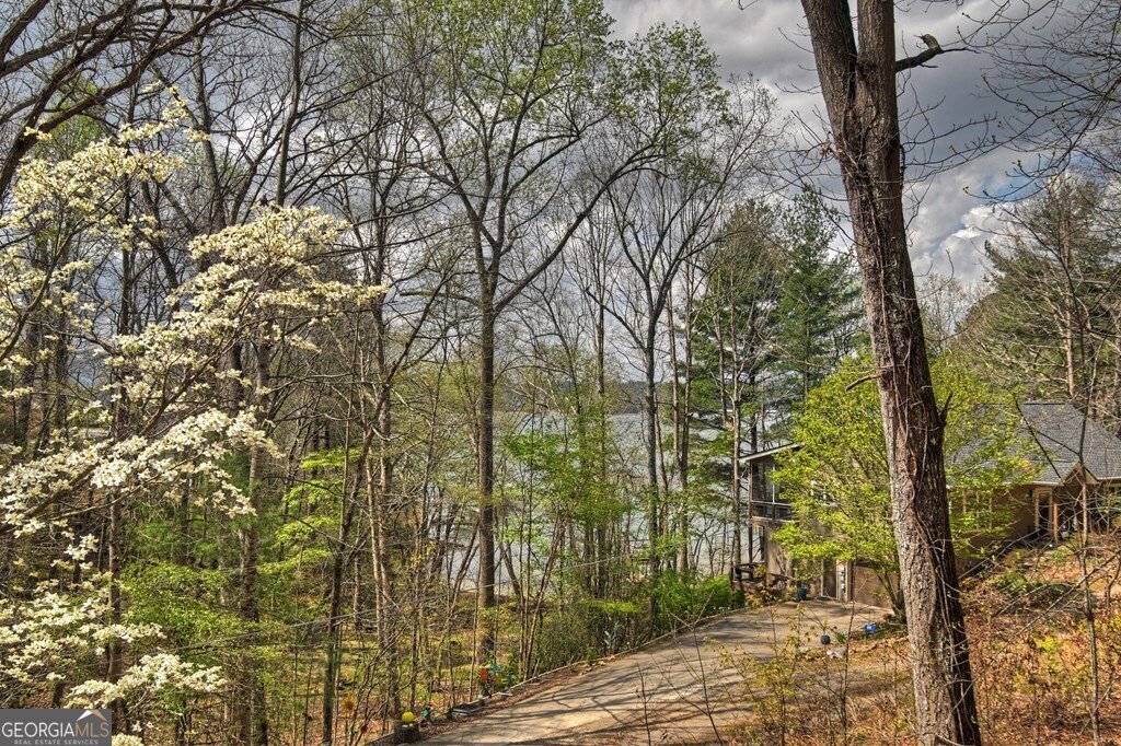 32 Lake Front Morganton - Photo 27
