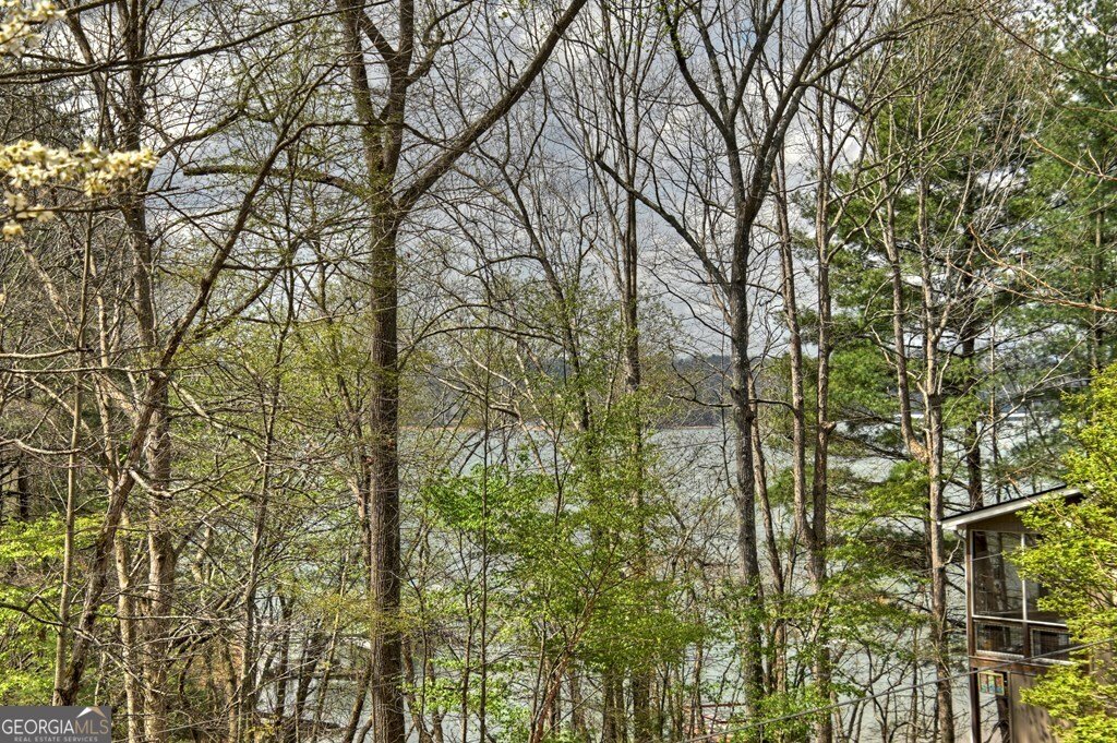 32 Lake Front Morganton - Photo 28
