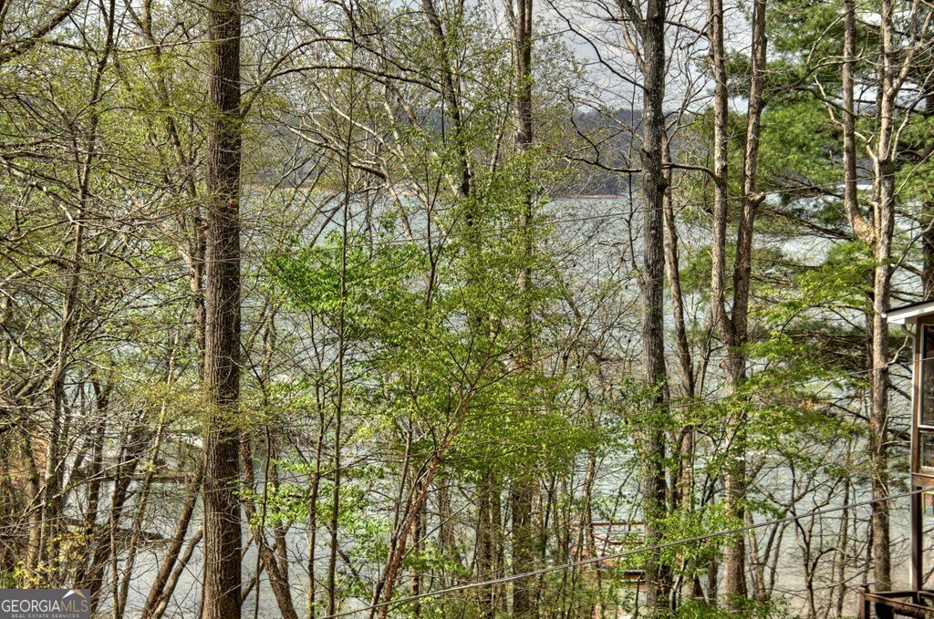 32 Lake Front Morganton - Photo 29