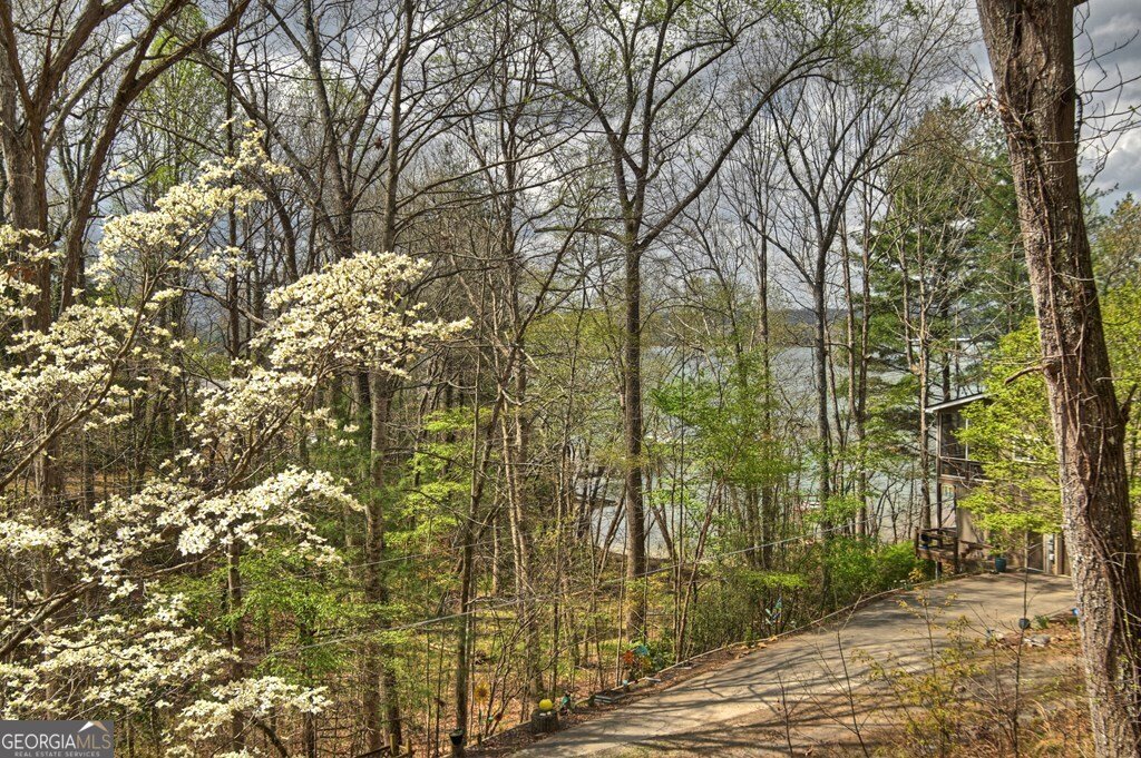 32 Lake Front Morganton - Photo 30