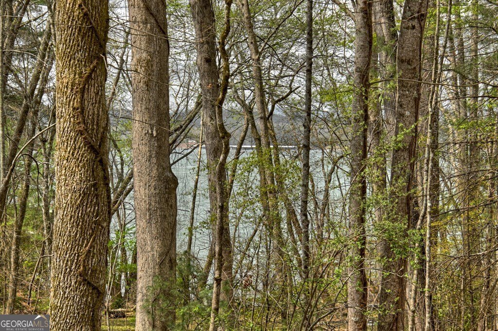 32 Lake Front Morganton - Photo 32