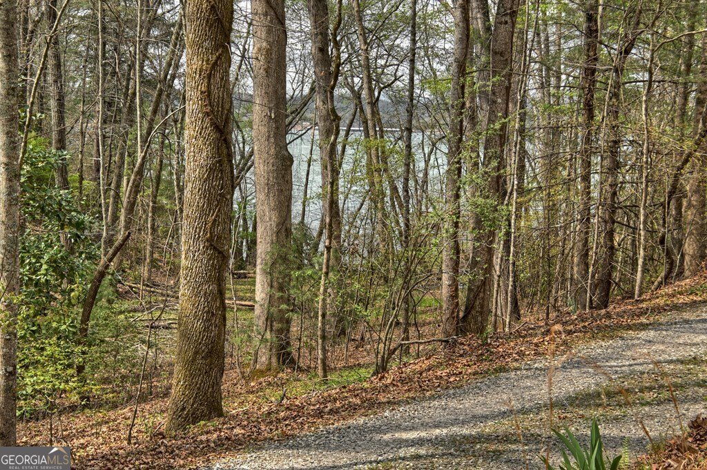 32 Lake Front Morganton - Photo 33