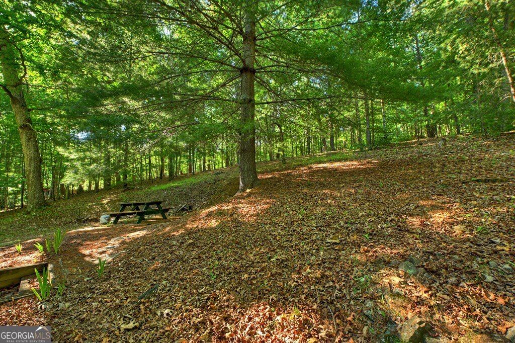 32 Lake Front Morganton - Photo 8