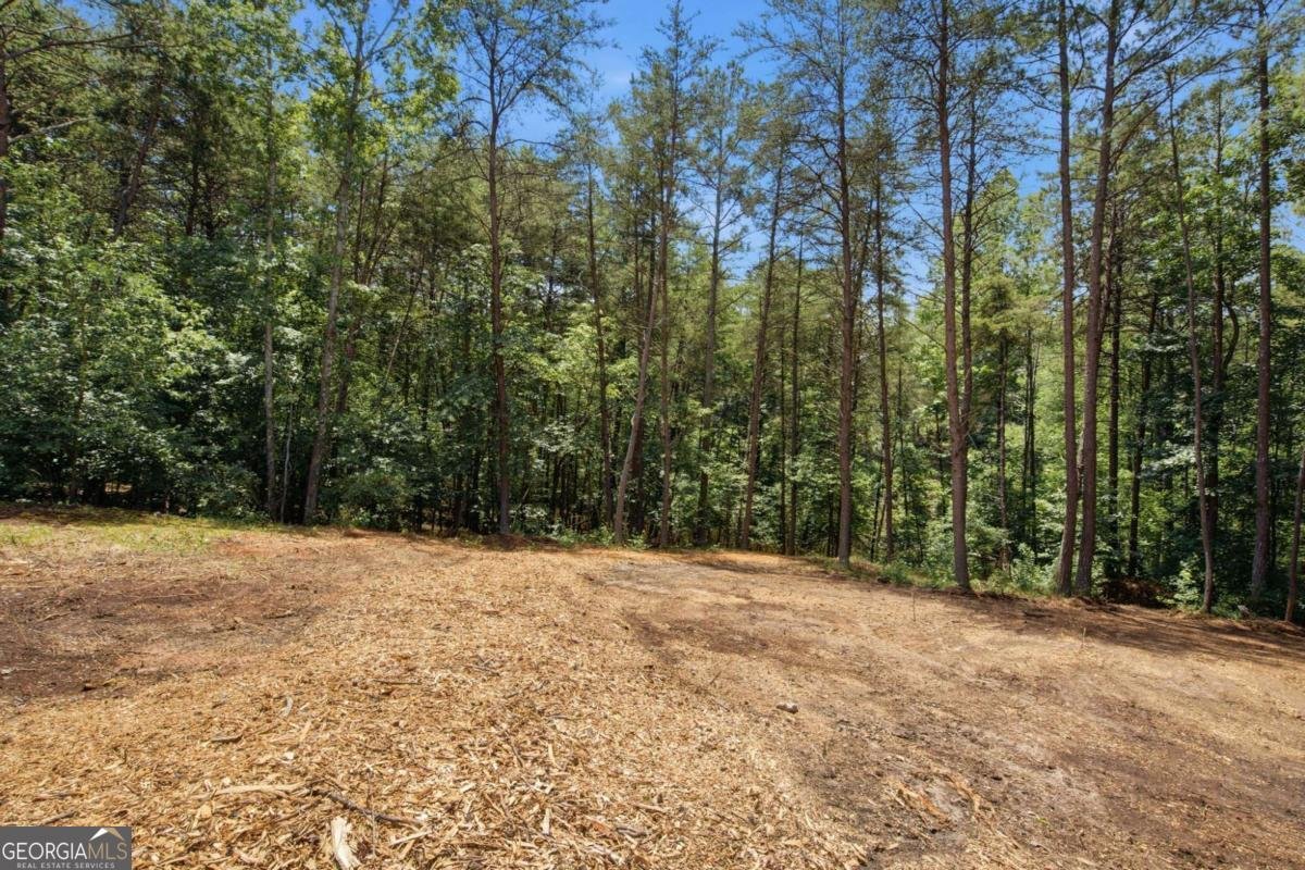 5723 Rocky Ridge Run Gainesville - Photo 38