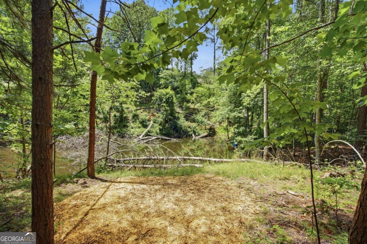 5723 Rocky Ridge Run Gainesville - Photo 40