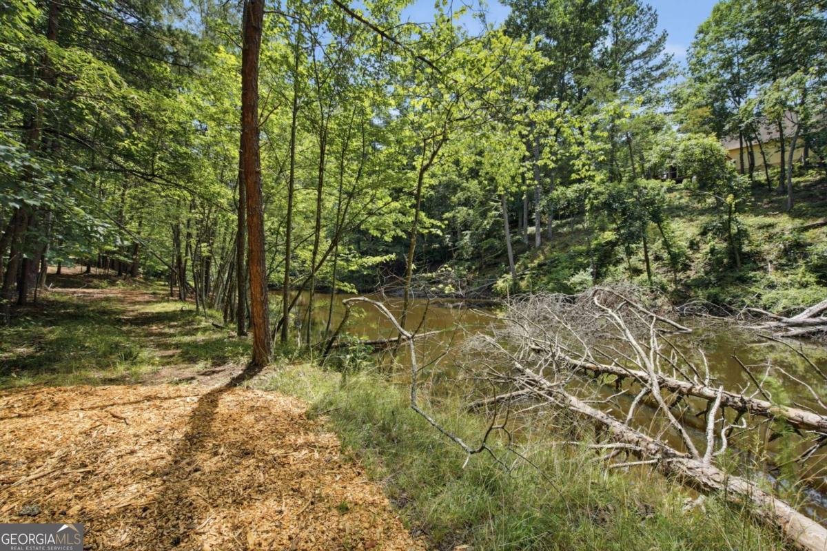 5723 Rocky Ridge Run Gainesville - Photo 41