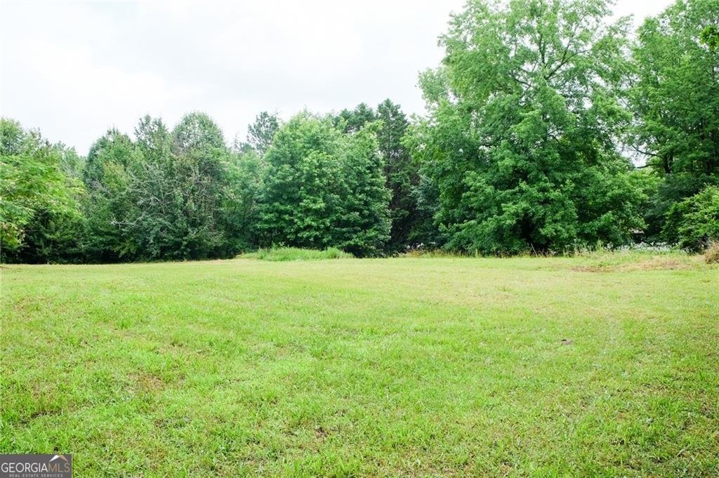 5198 Holly Springs Road Pendergrass - Photo 45
