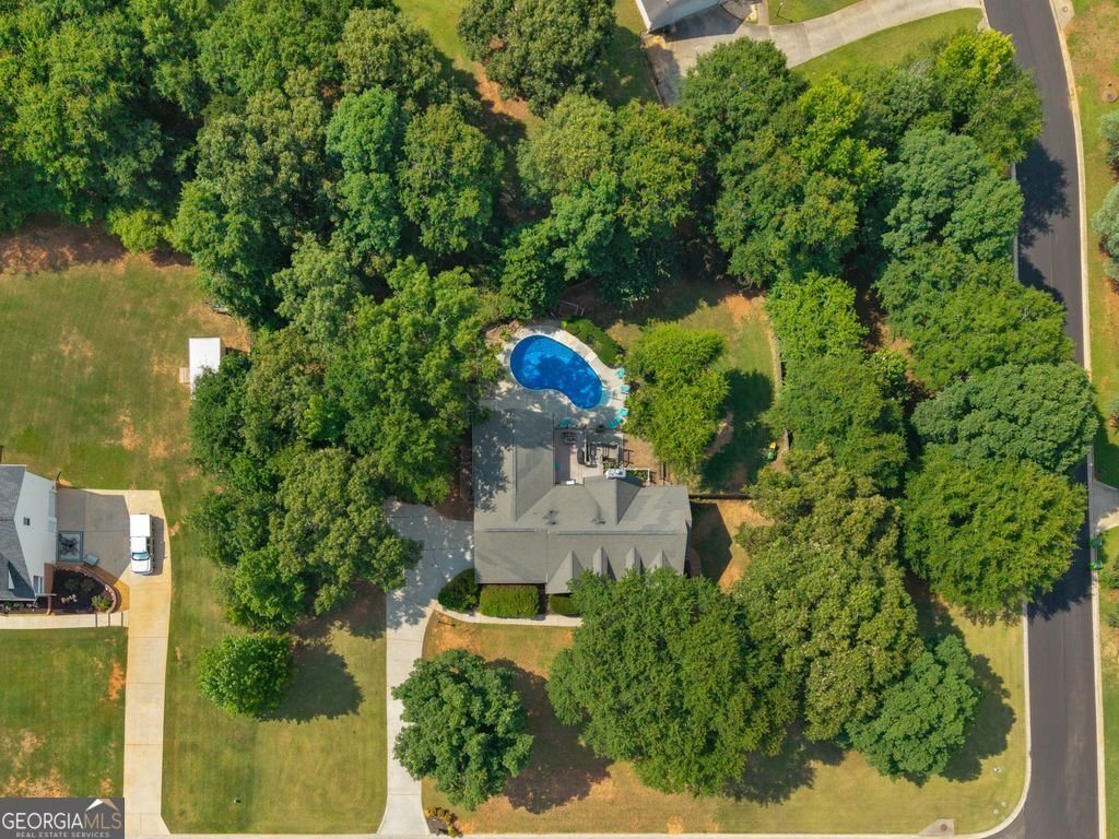 300 Farm View Court Locust Grove - Photo 58