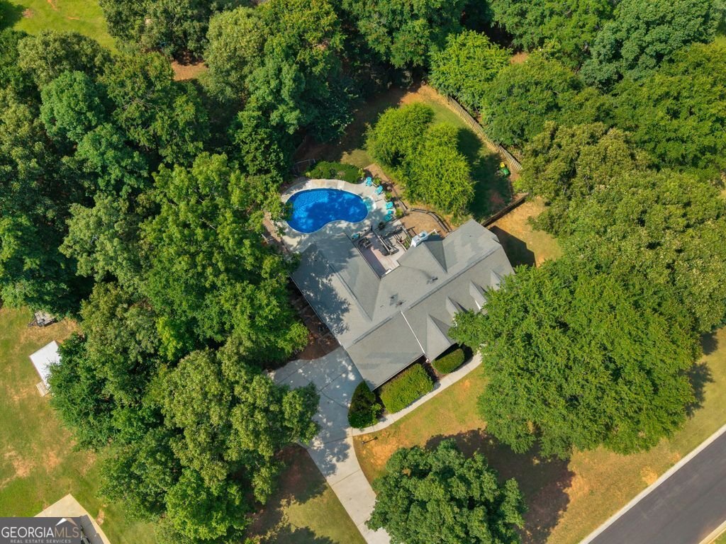 300 Farm View Court Locust Grove - Photo 61