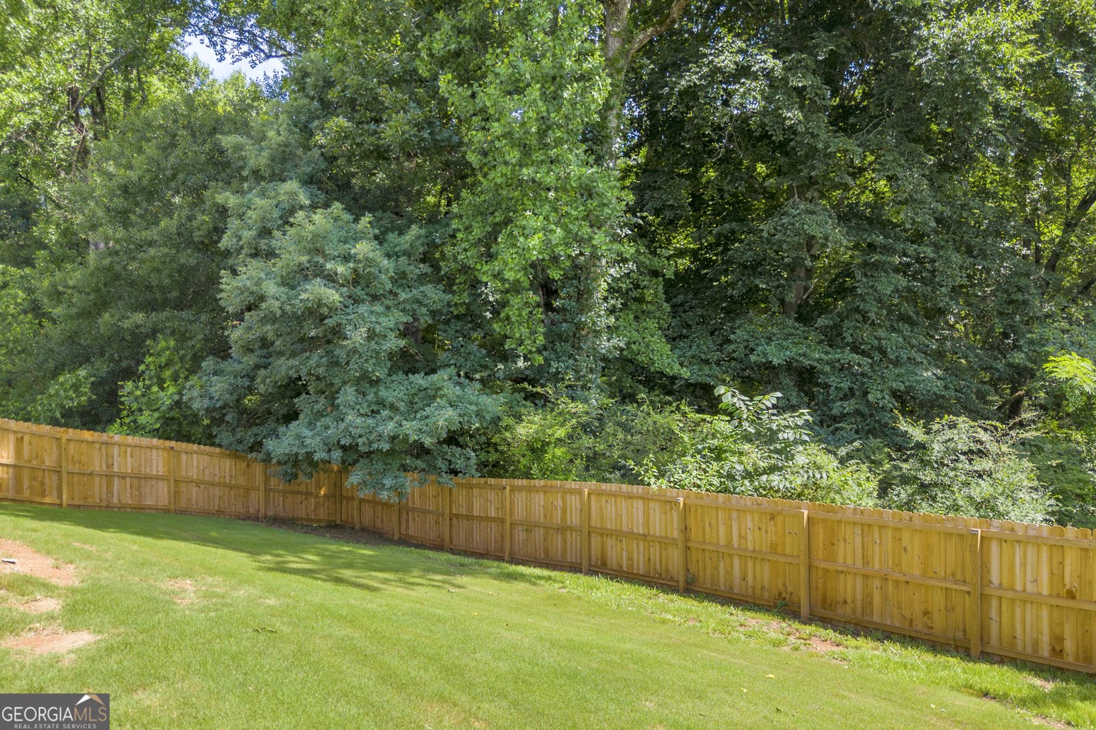 498 Brooks Village Drive Pendergrass - Photo 42