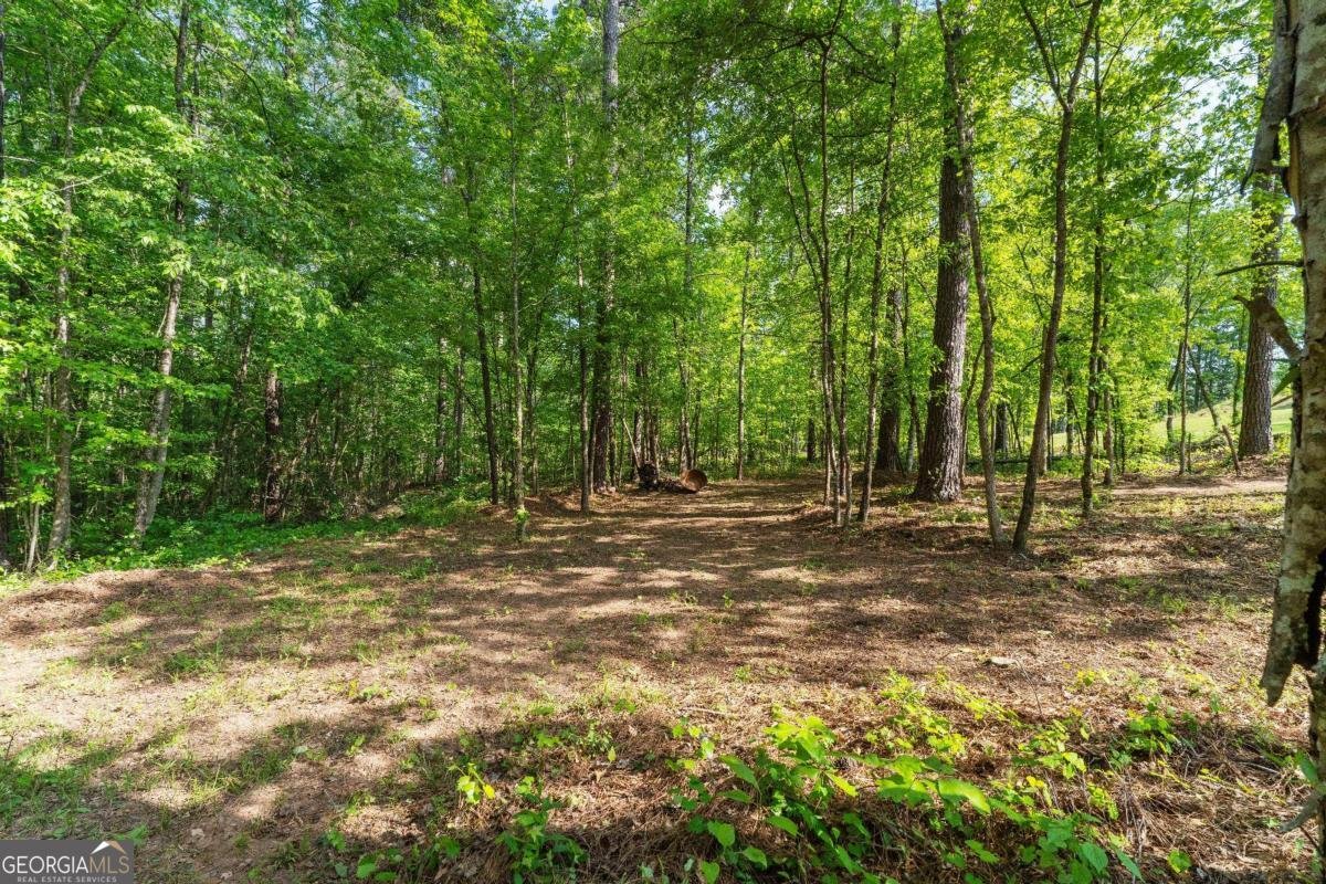 60 Sunflower Drive Newnan - Photo 55
