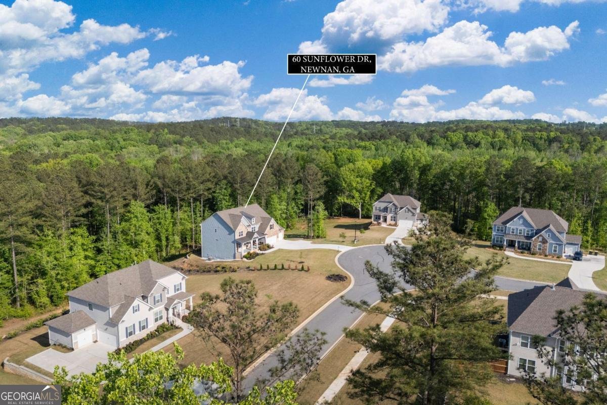60 Sunflower Drive Newnan - Photo 57