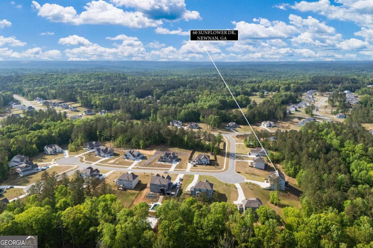 60 Sunflower Drive Newnan - Photo 58