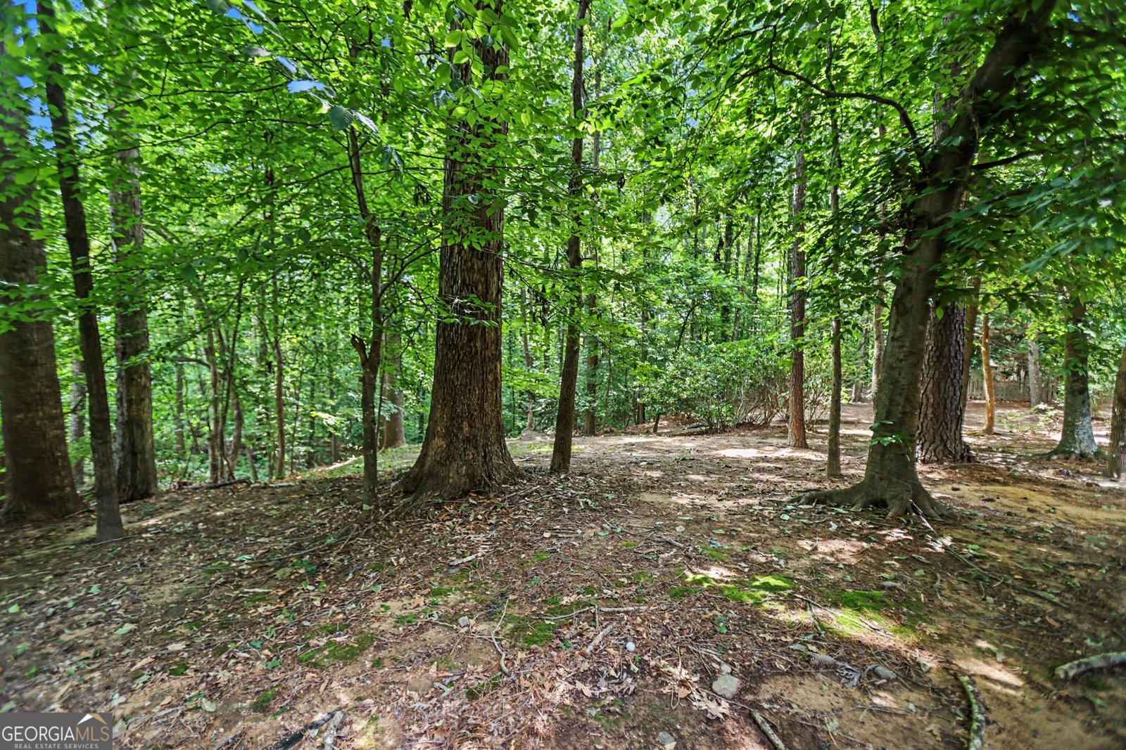 2405 Millwater Crossing Dacula - Photo 44