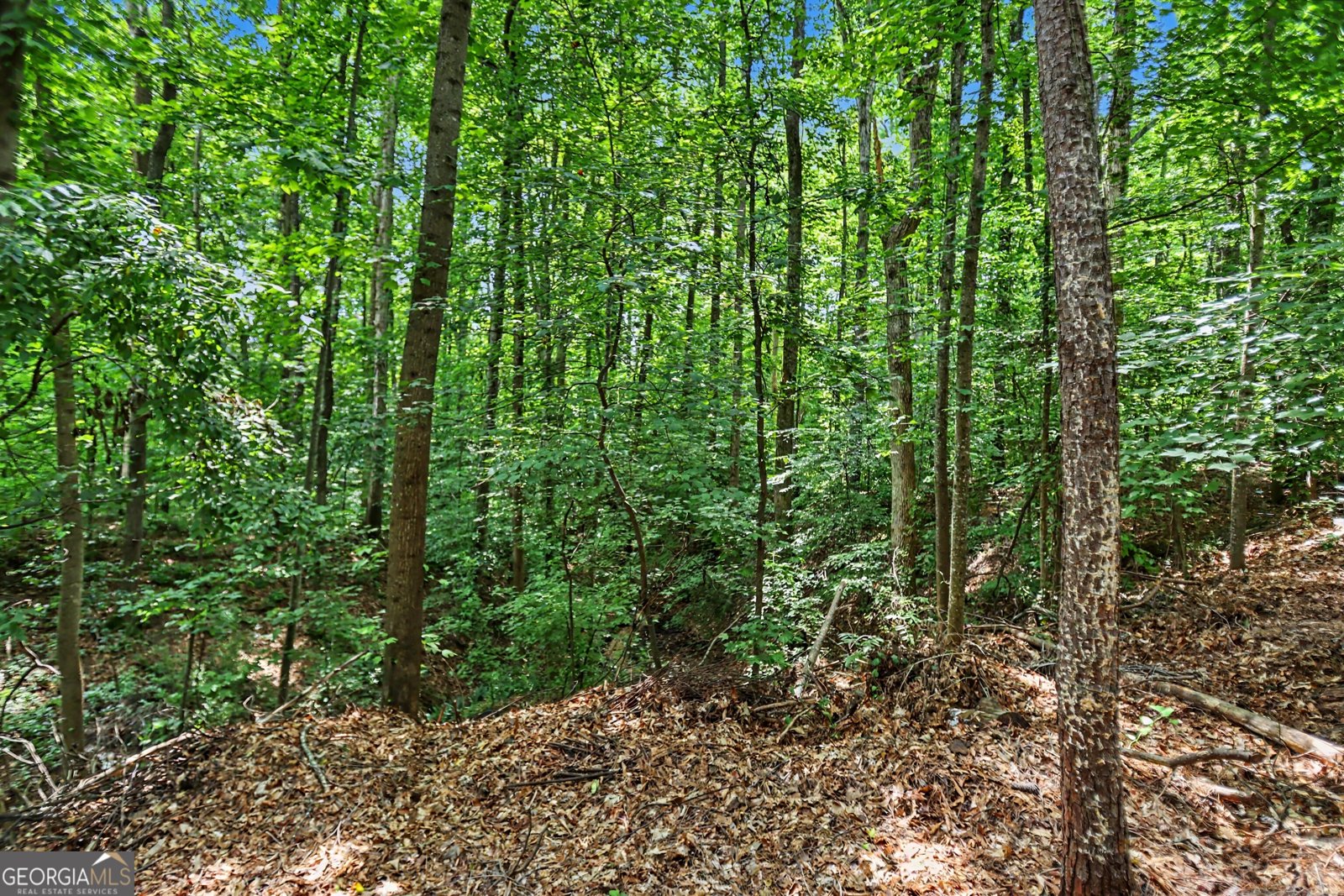 2405 Millwater Crossing Dacula - Photo 46