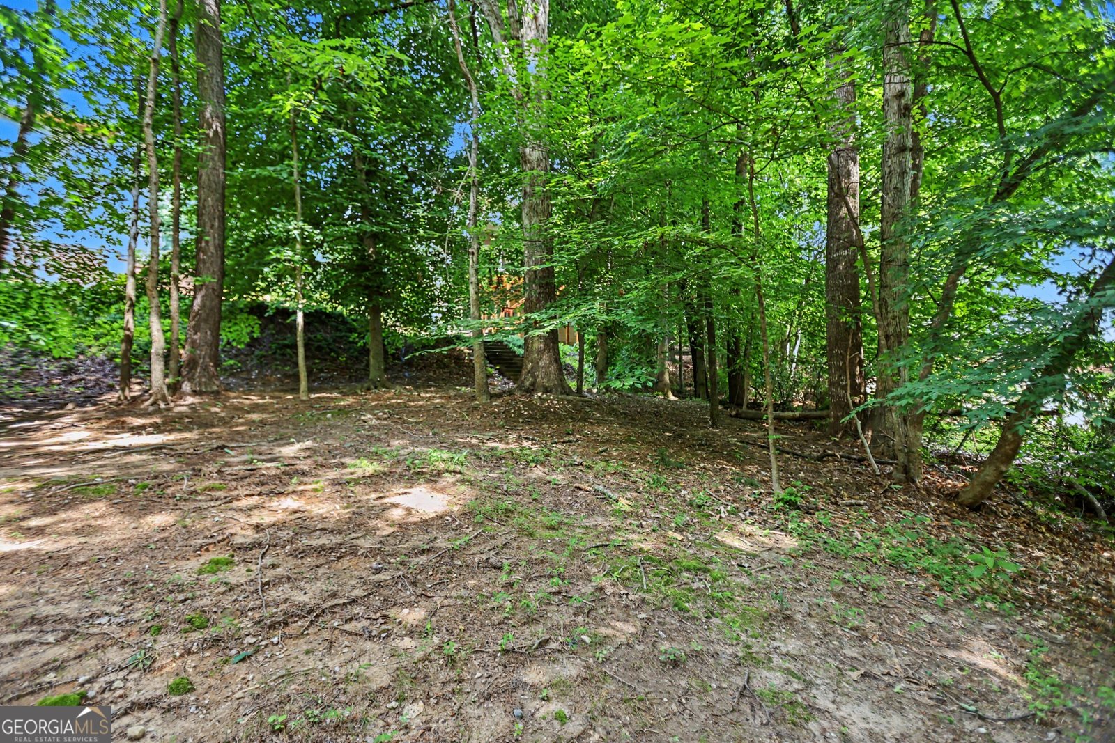 2405 Millwater Crossing Dacula - Photo 47