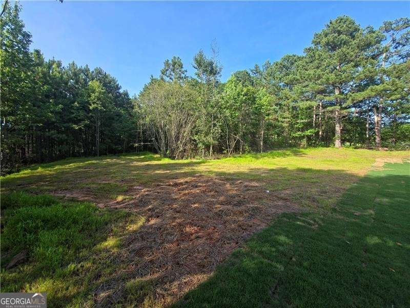446 Ledbetter Road Villa Rica - Photo 64