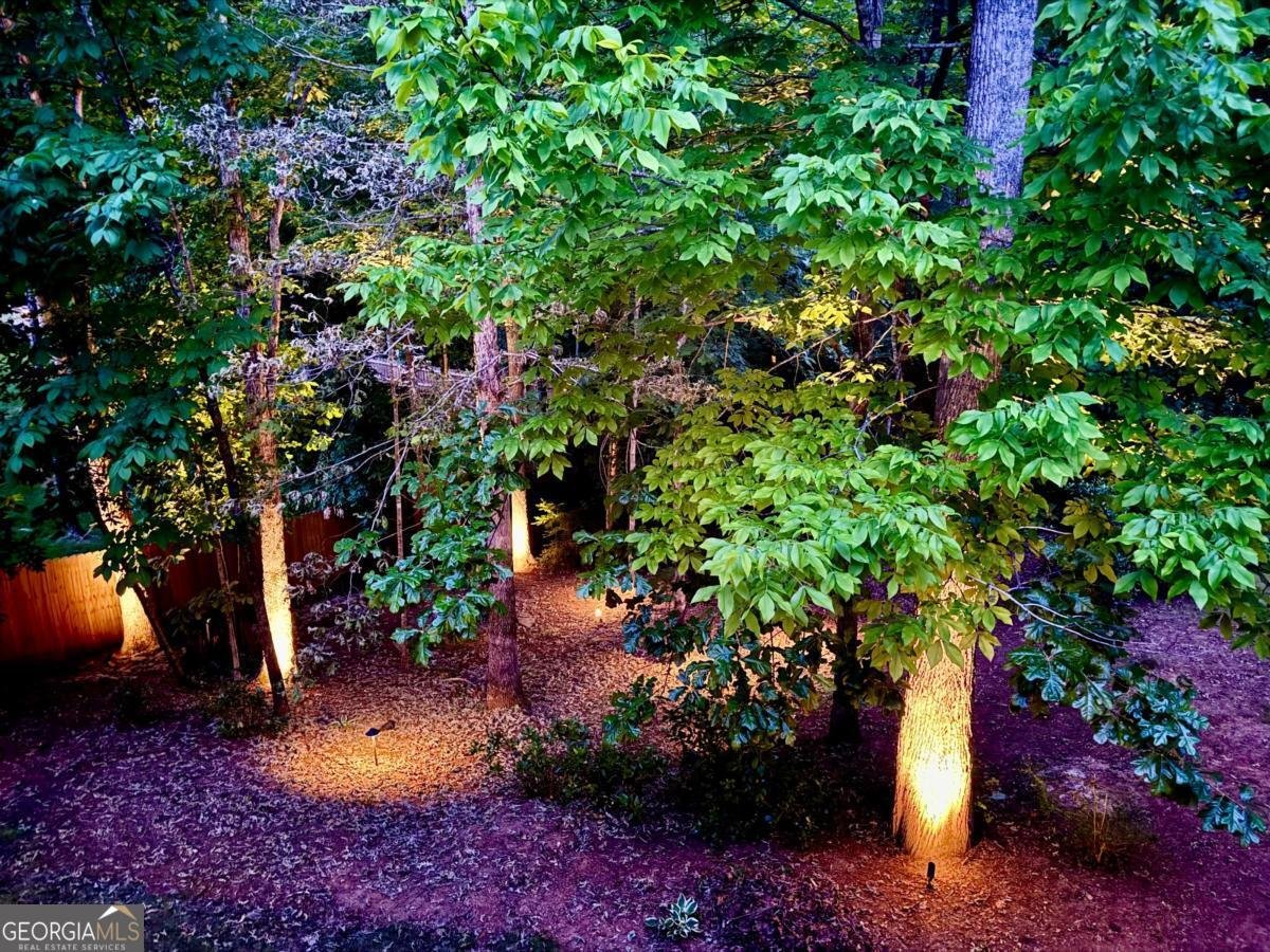 366 Dawson Manor Drive Dawsonville - Photo 37