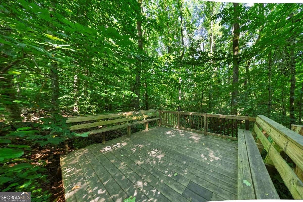 237 Serenoa Drive Canton - Photo 47