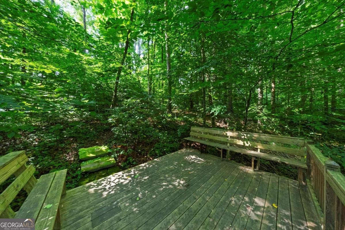 237 Serenoa Drive Canton - Photo 48