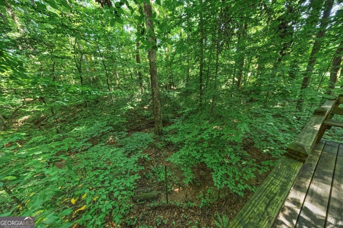 237 Serenoa Drive Canton - Photo 49