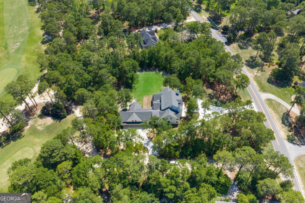 30 Forest Pine Drive Statesboro - Photo 80