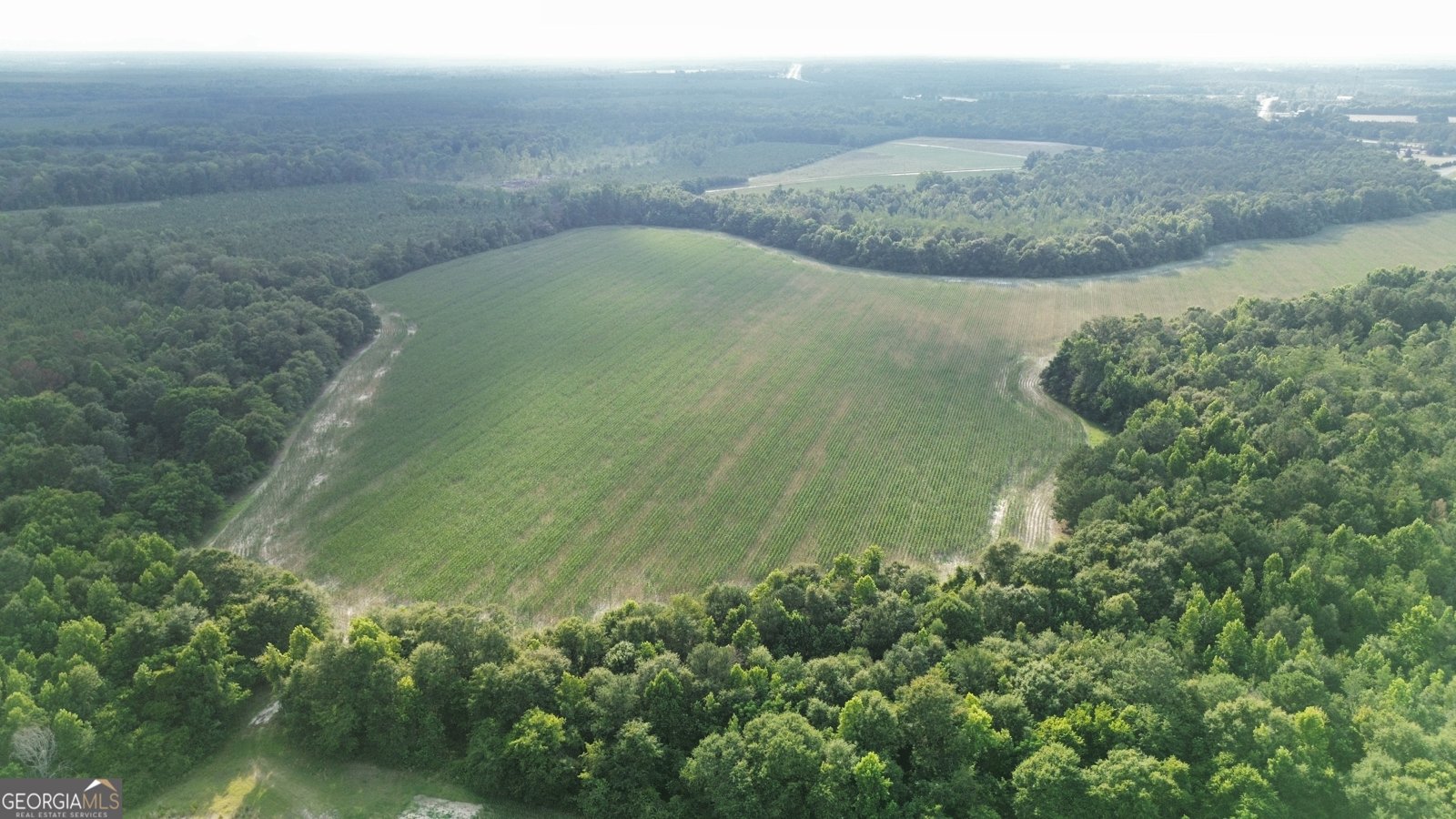 1665 Walke Dairy Road Dublin - Photo 19