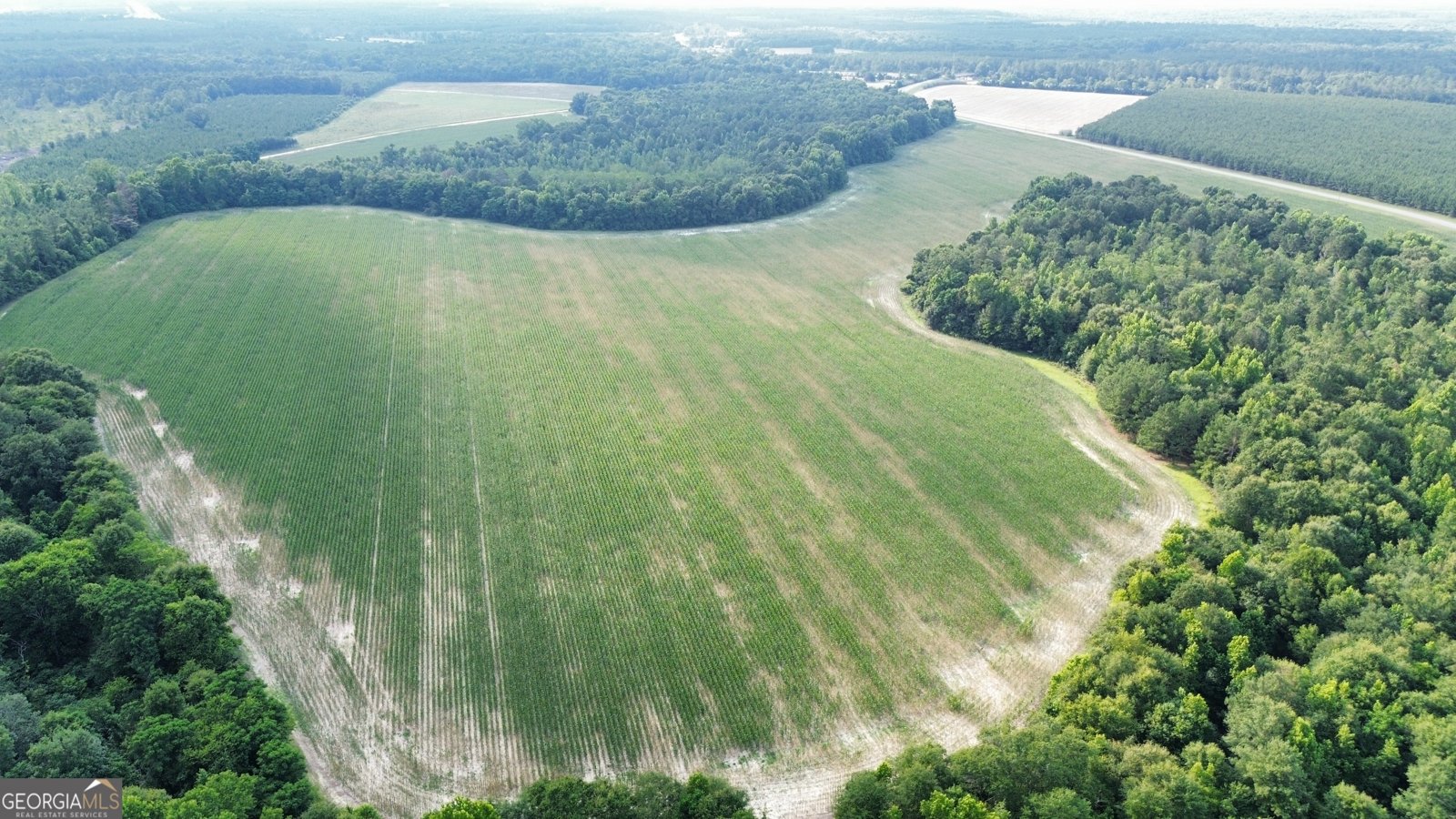1665 Walke Dairy Road Dublin - Photo 20