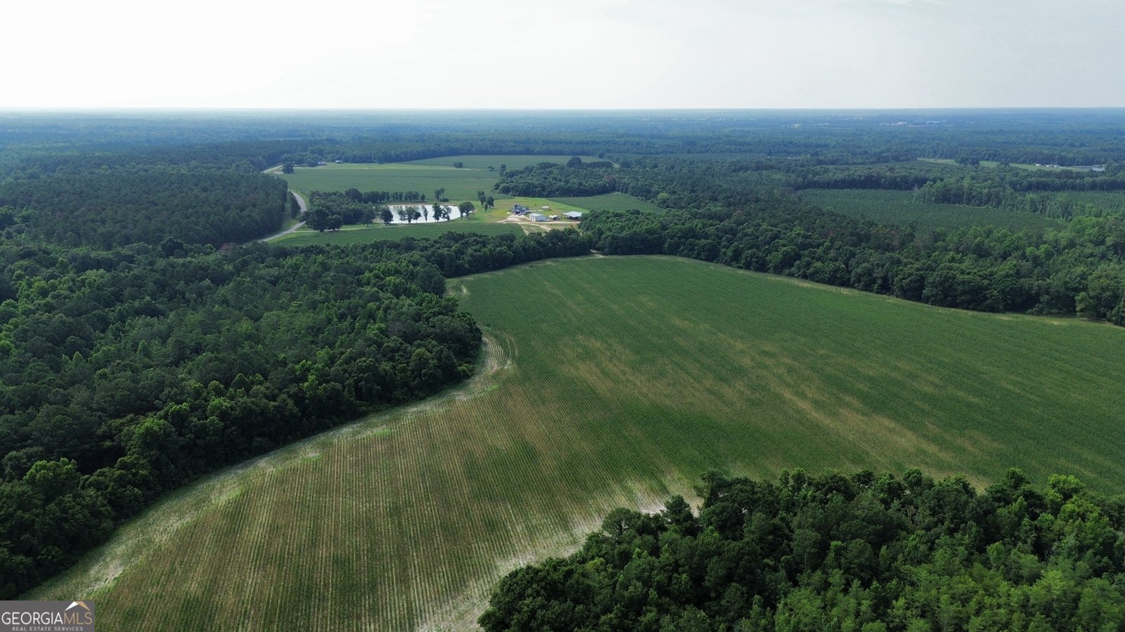 1665 Walke Dairy Road Dublin - Photo 33