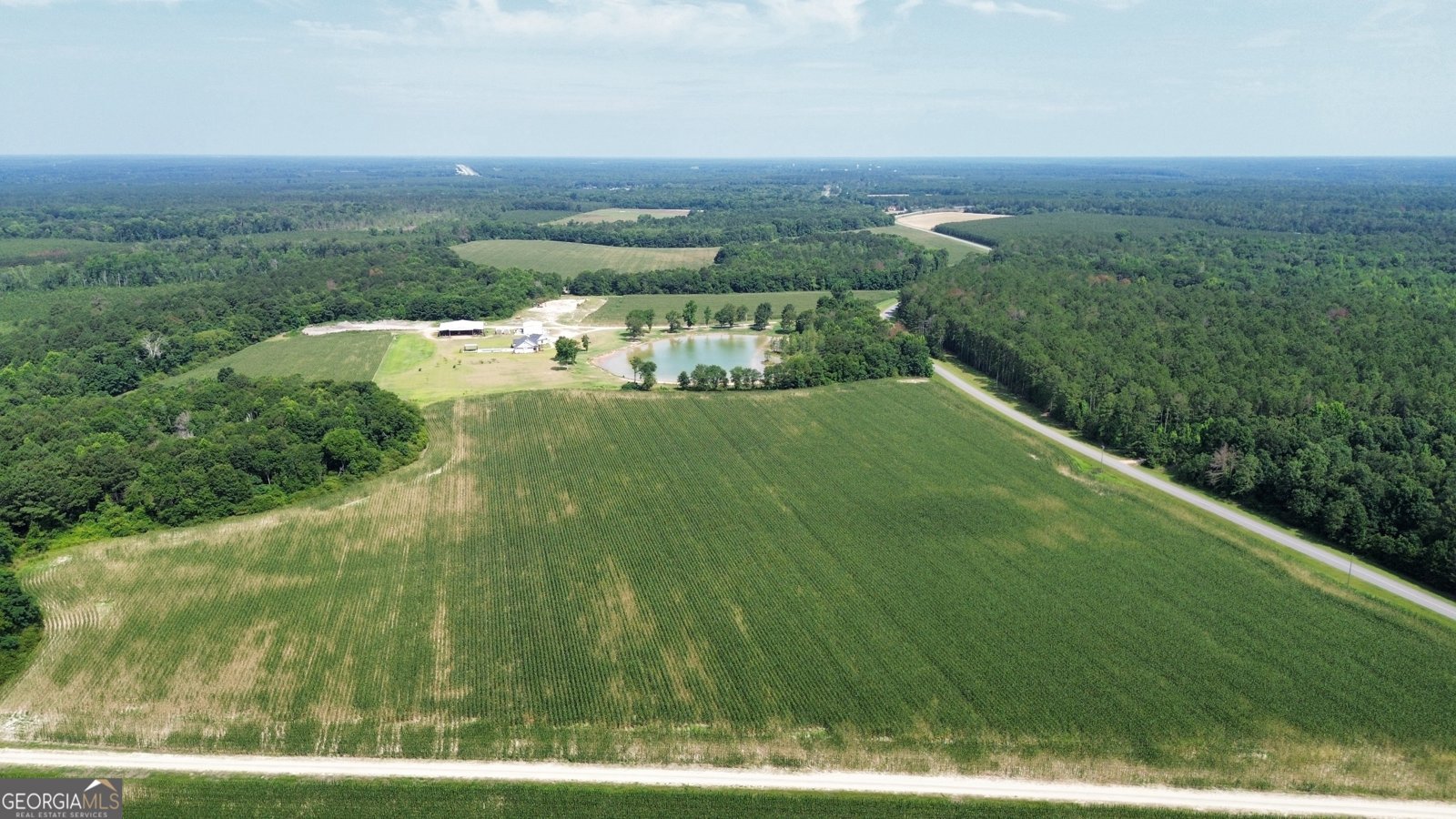 1665 Walke Dairy Road Dublin - Photo 38