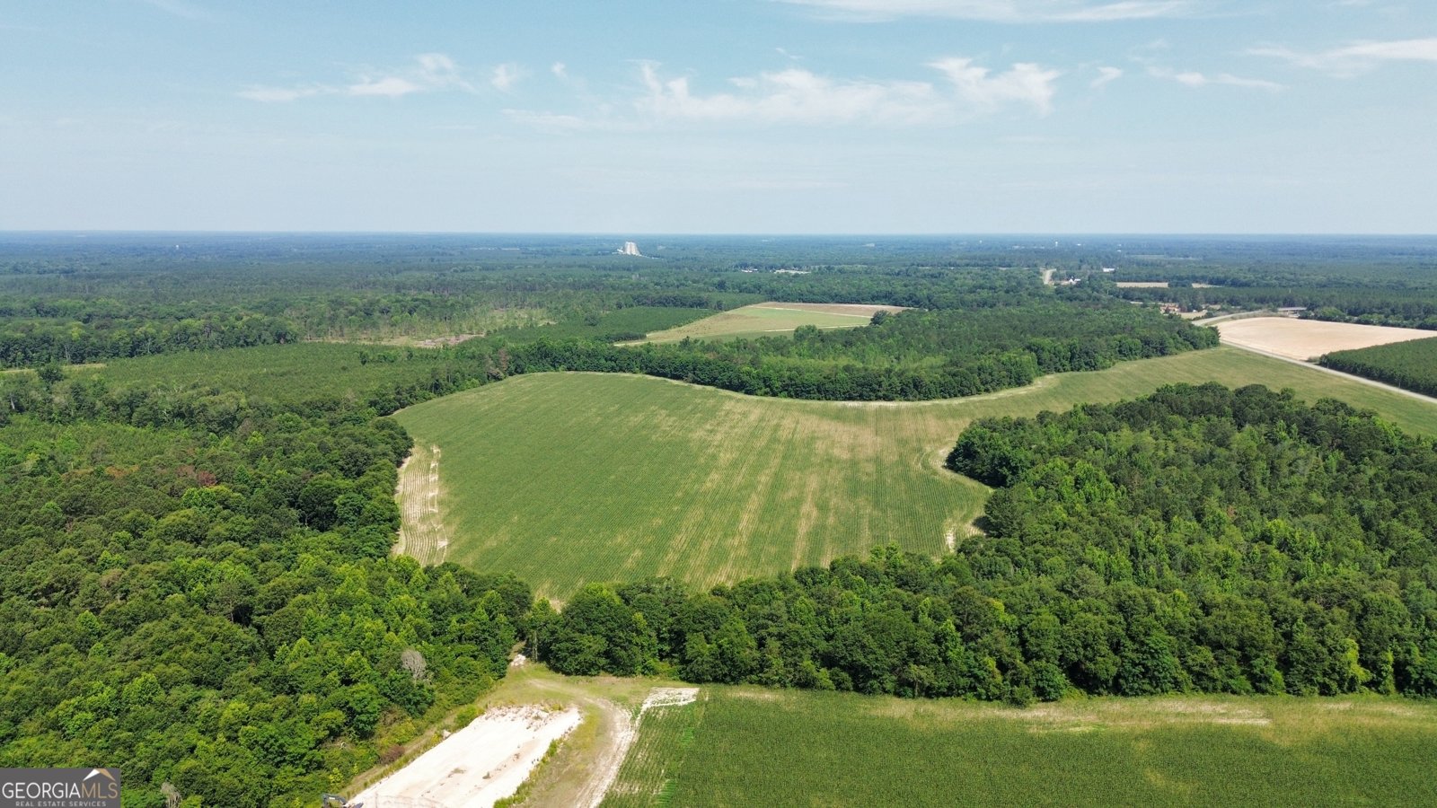1665 Walke Dairy Road Dublin - Photo 41