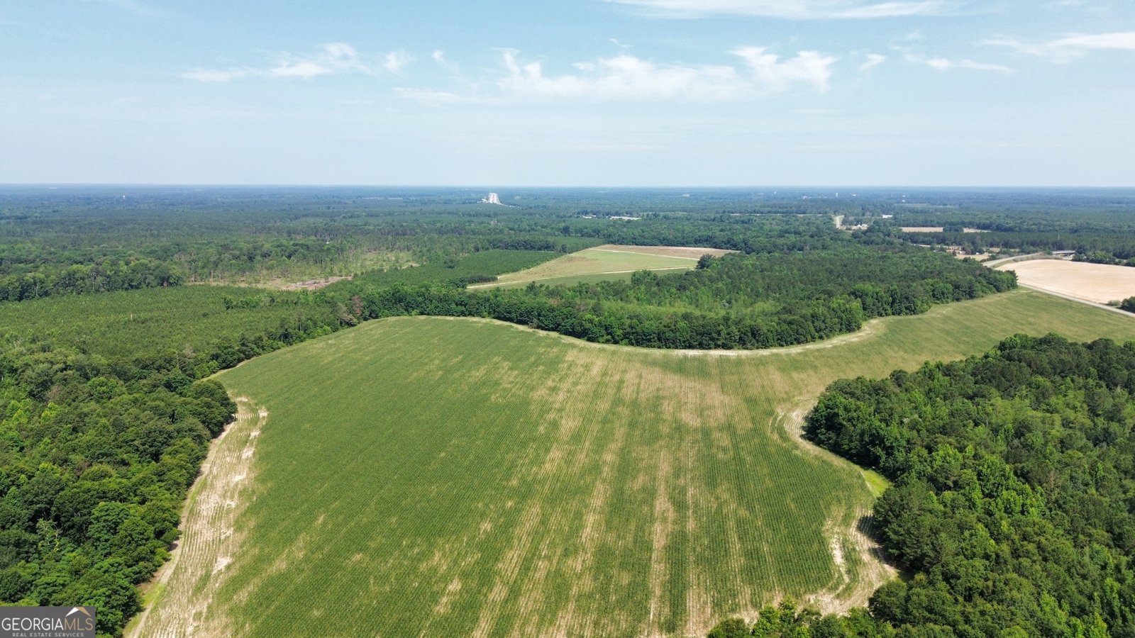 1665 Walke Dairy Road Dublin - Photo 42