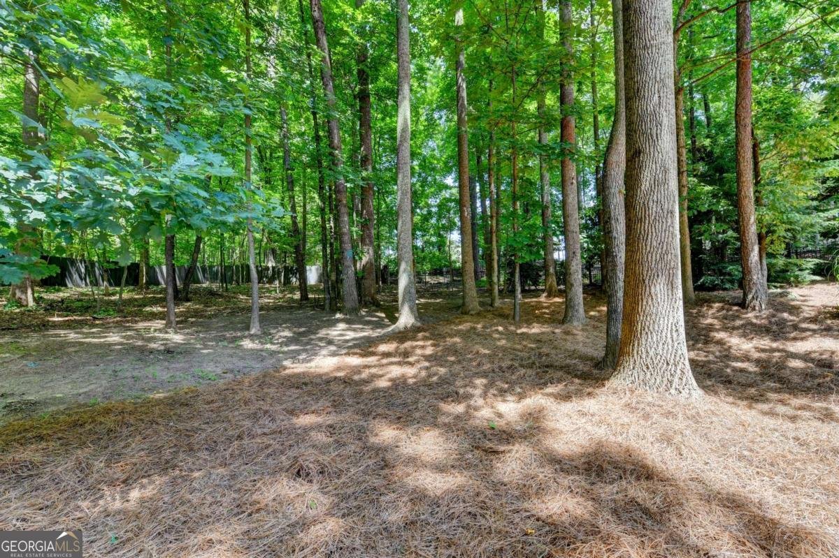 7040 Laurel Oak Drive Suwanee - Photo 64
