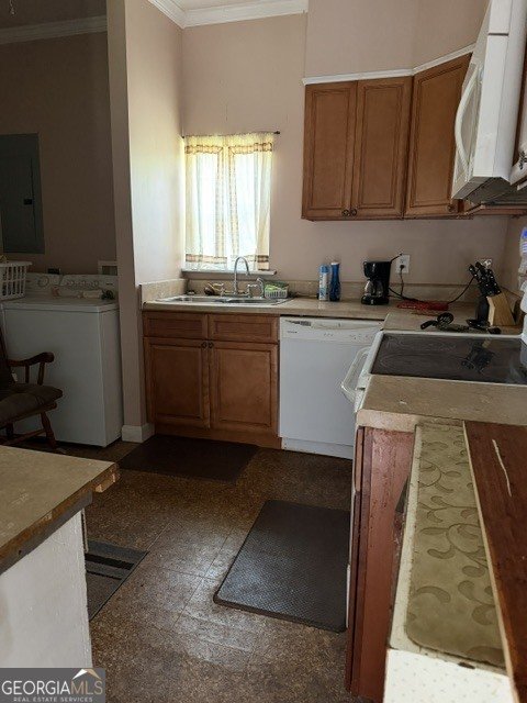 Photo 5