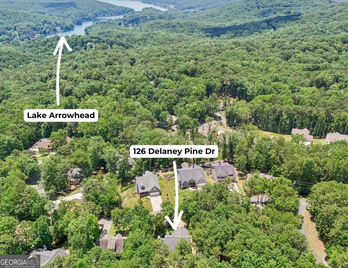 126 Delaney Pine Drive Waleska - Photo 24