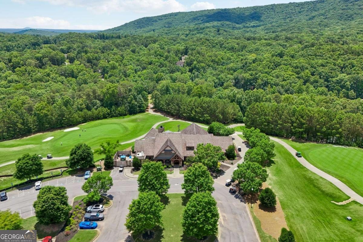 126 Delaney Pine Drive Waleska - Photo 25