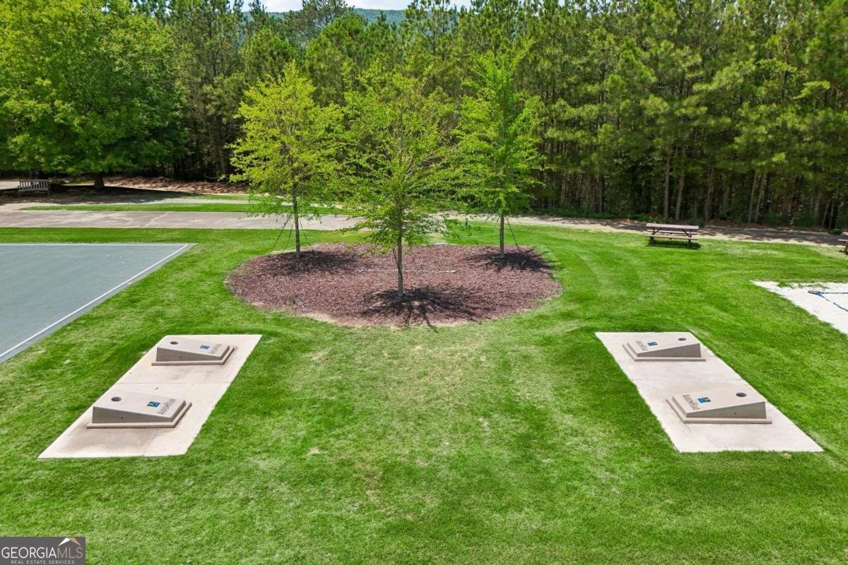 126 Delaney Pine Drive Waleska - Photo 29
